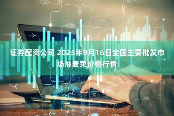 证券配资公司 2025年9月16日全国主要批发市场油麦菜价格行情